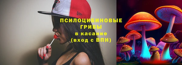 прущий лед Арсеньев