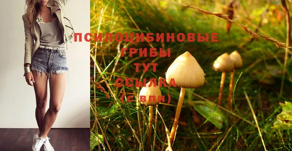 прущий лед Арсеньев